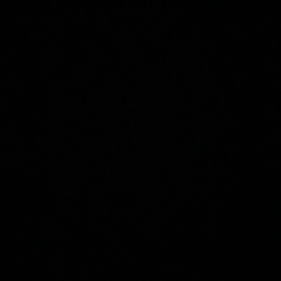 None - Picture 3 of 4